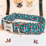 Collar