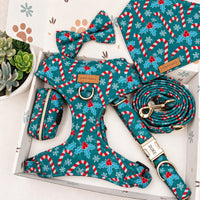 Designed Christmas Candy Cane Dog Harness Set