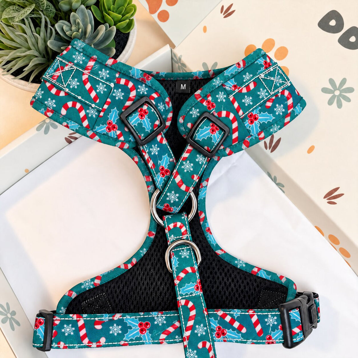 Designed Christmas Candy Cane Dog Harness Set