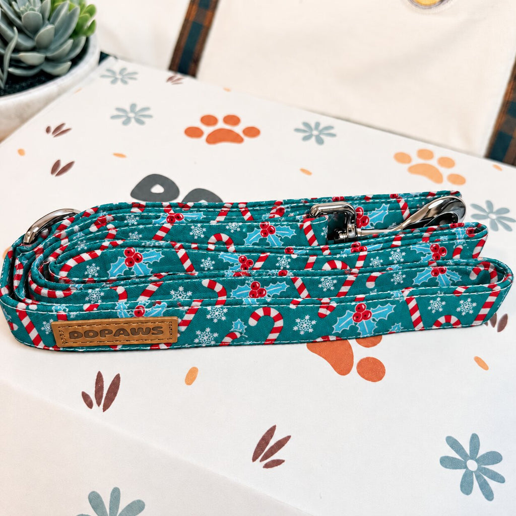 Designed Christmas Candy Cane Dog Harness Set