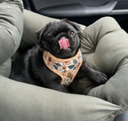 Designed Floral Dog Vest Set