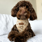 Designed Rainbow Dog Vest Set
