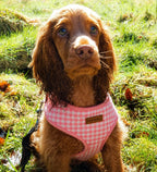 Designed Pink Caro Dog Vest Set