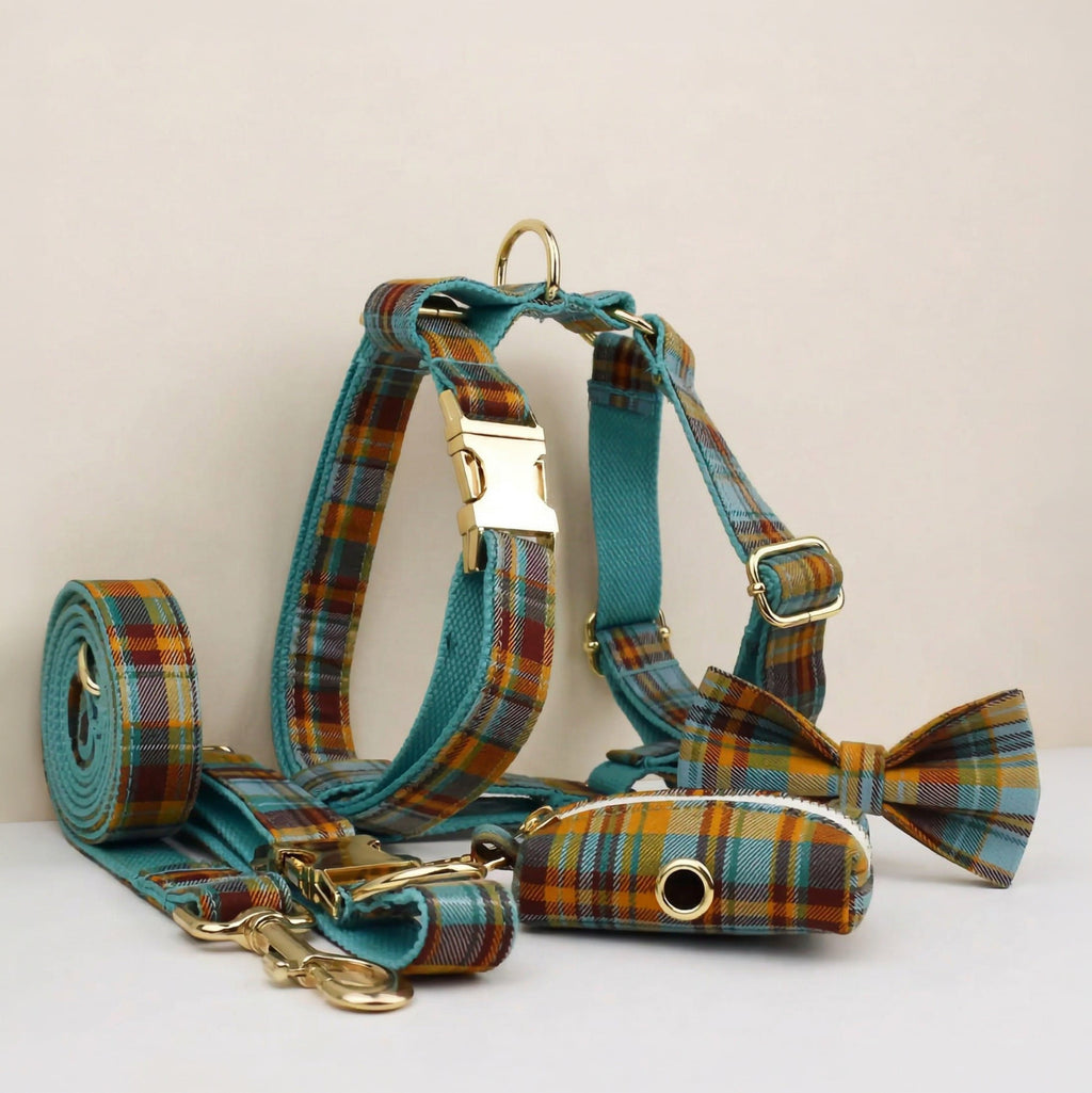 D&D Paws  Autumn Blue Plaid Set