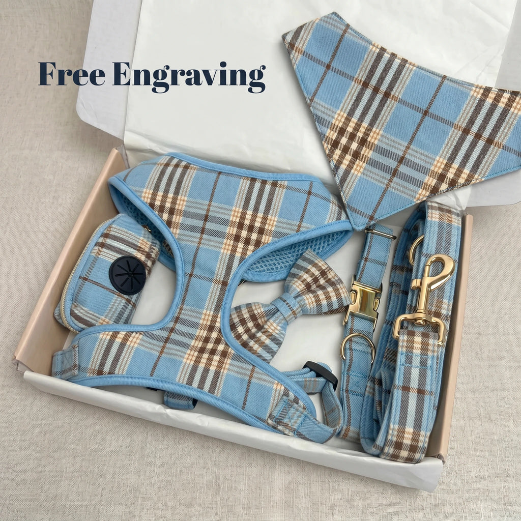 Designed Blue Brown Plaid Dog Vest Set