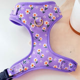 Harness