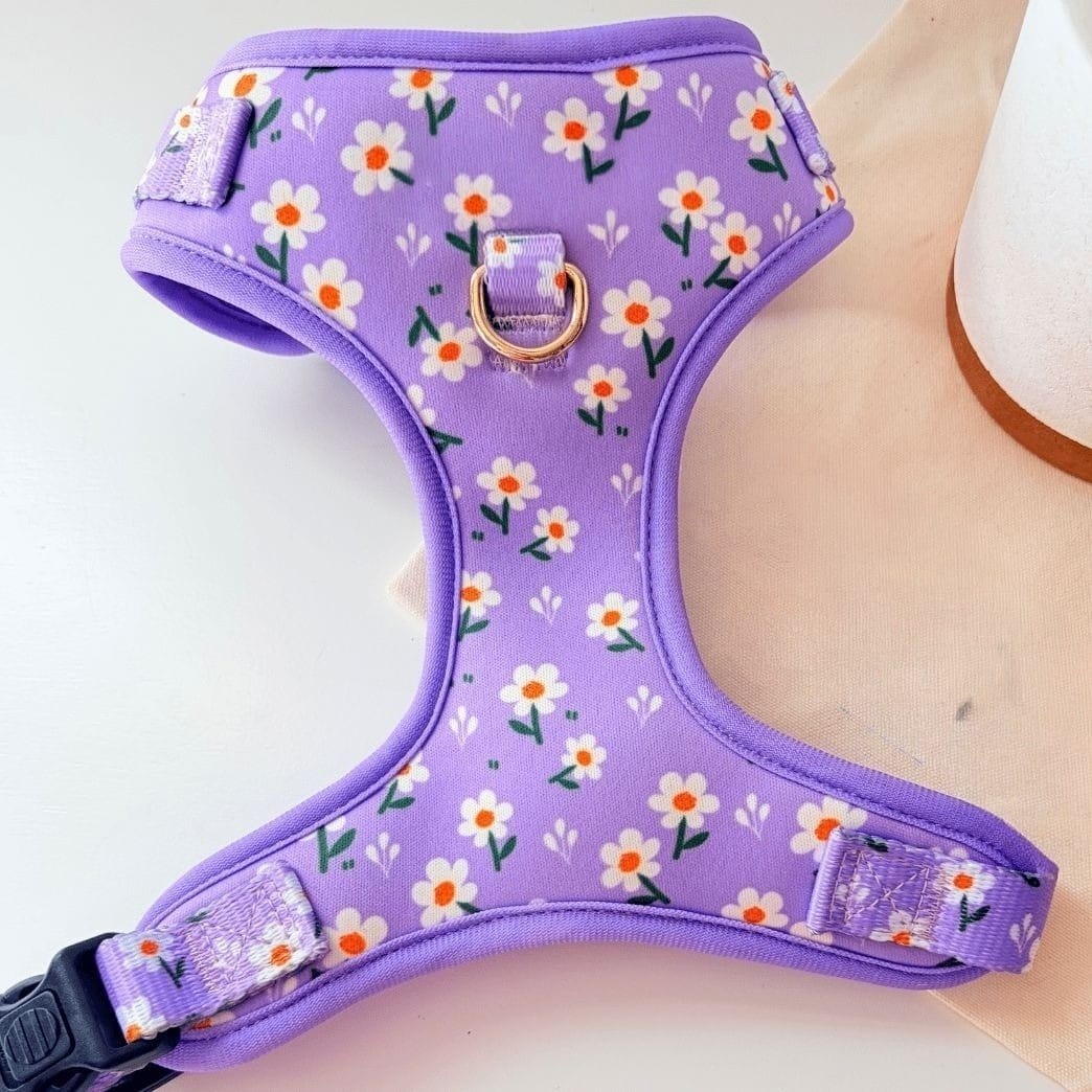 D&D Paws Harness / XS Designed Purple Daisy Dog Vest Set [Made-to-Order]