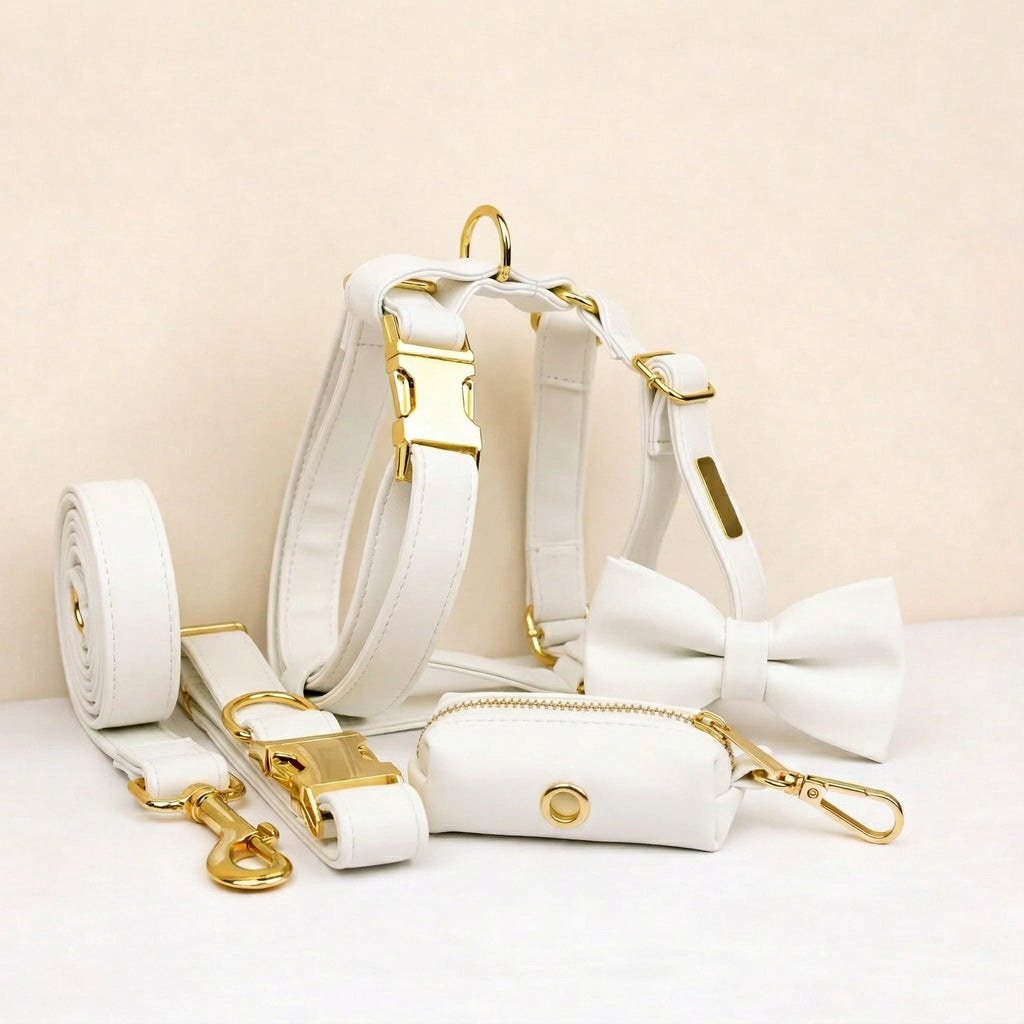 D&D Paws  White Leather Set