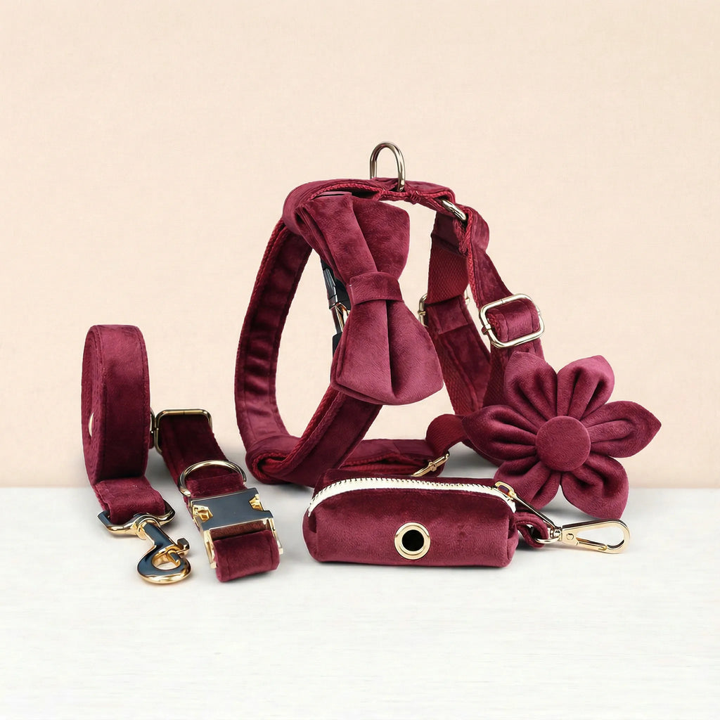 D&D Paws  Red Wine Velvet Set