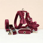 D&D Paws  Red Wine Velvet Set