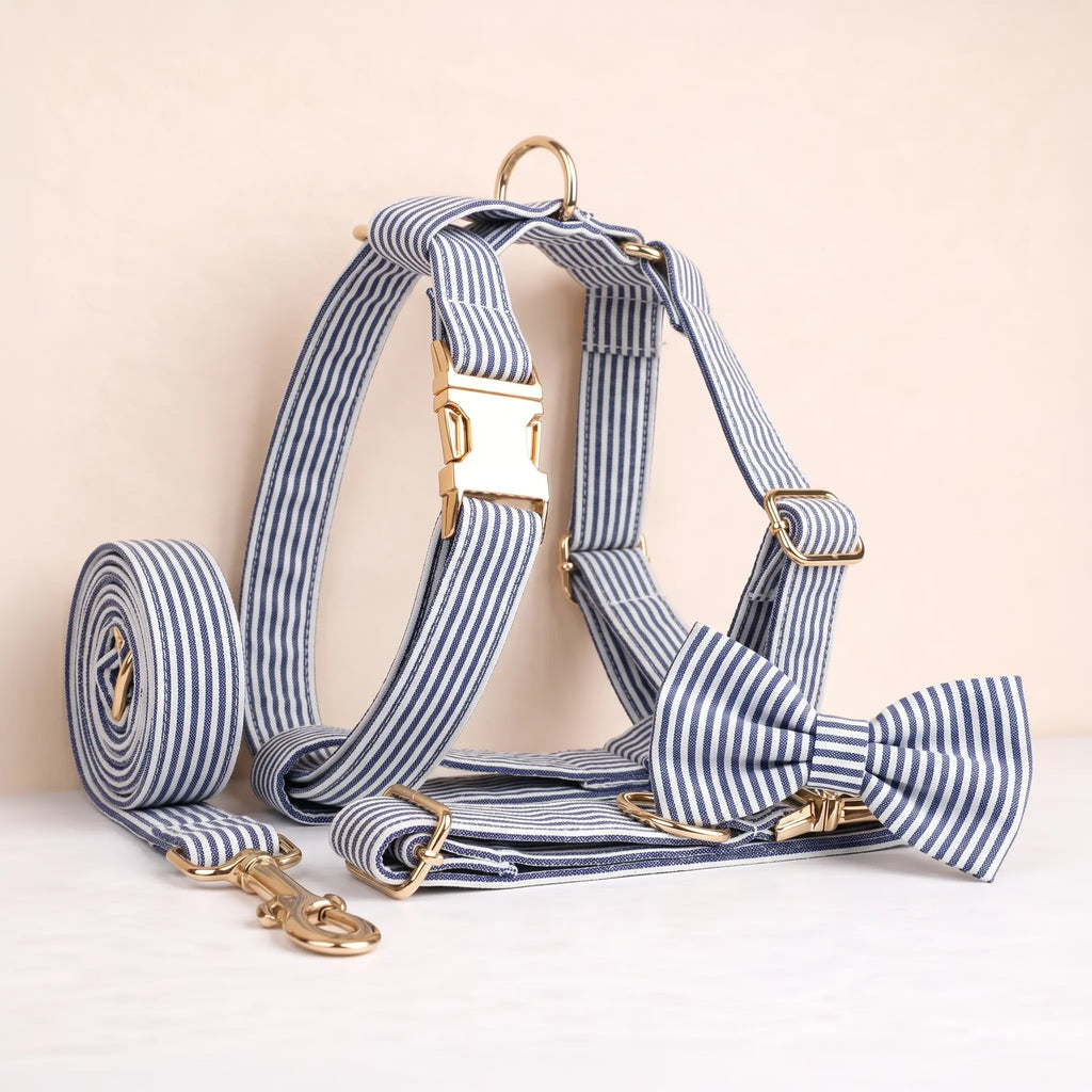 Designed Navy White Plaid Set