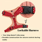 Designed Red Polka Dot Dog Vest Set