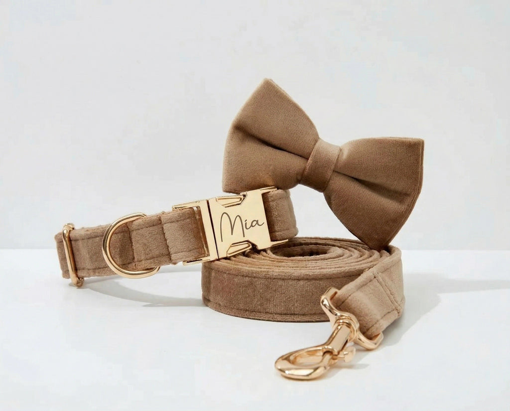Shallow Khaki Velvet Collar Leash Set