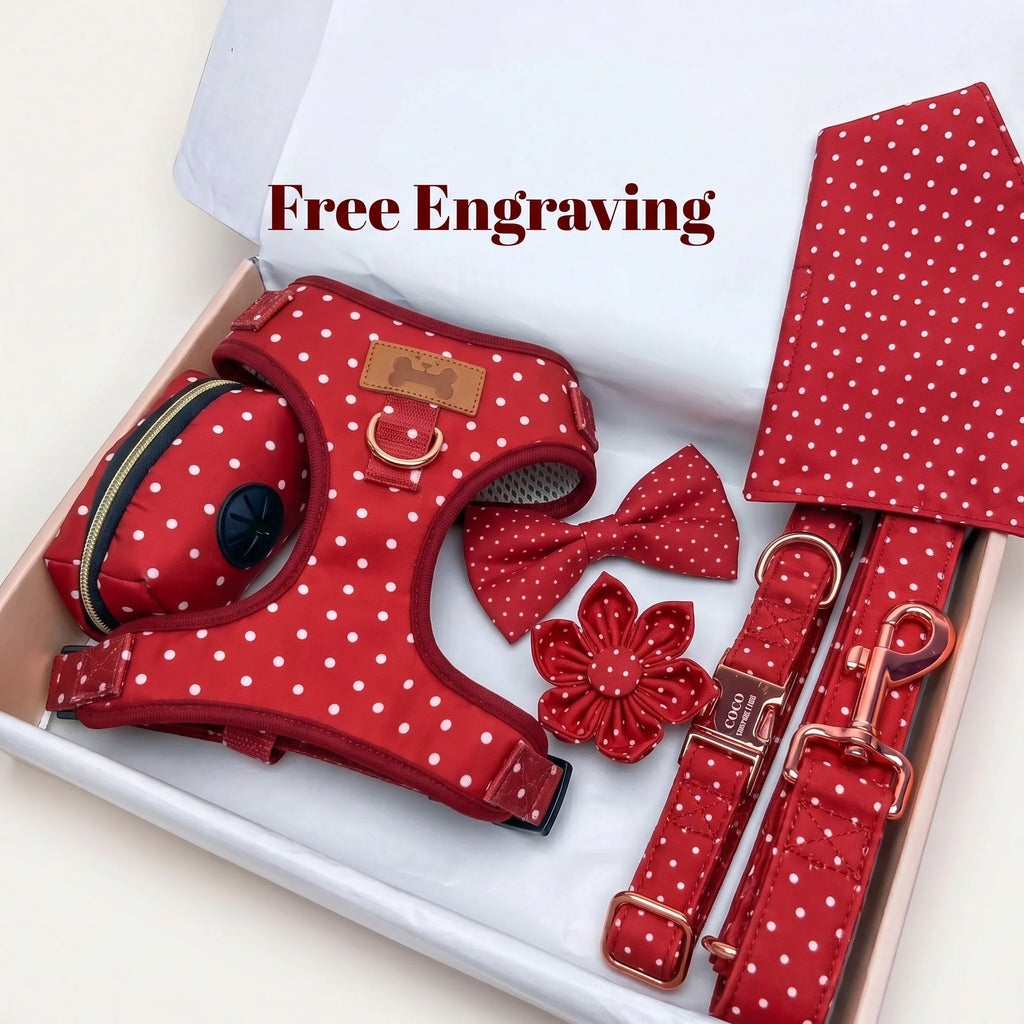 Designed Red Polka Dot Dog Vest Set