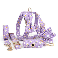 Purple Daisy Floral Set