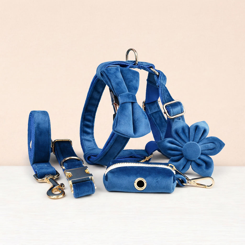 D&D Paws  Blue Velvet Set