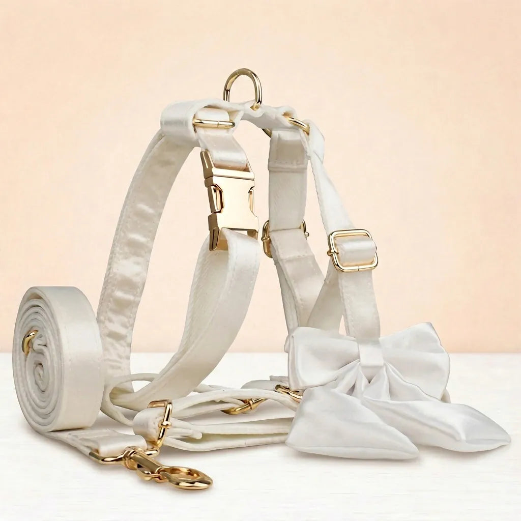 D&D Paws  Wedding Pure White Satin Set