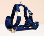 D&D Paws  Dark Blue Velvet Set