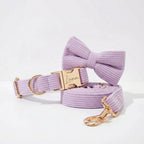Lavender Mist Corduroy Collar Leash Set