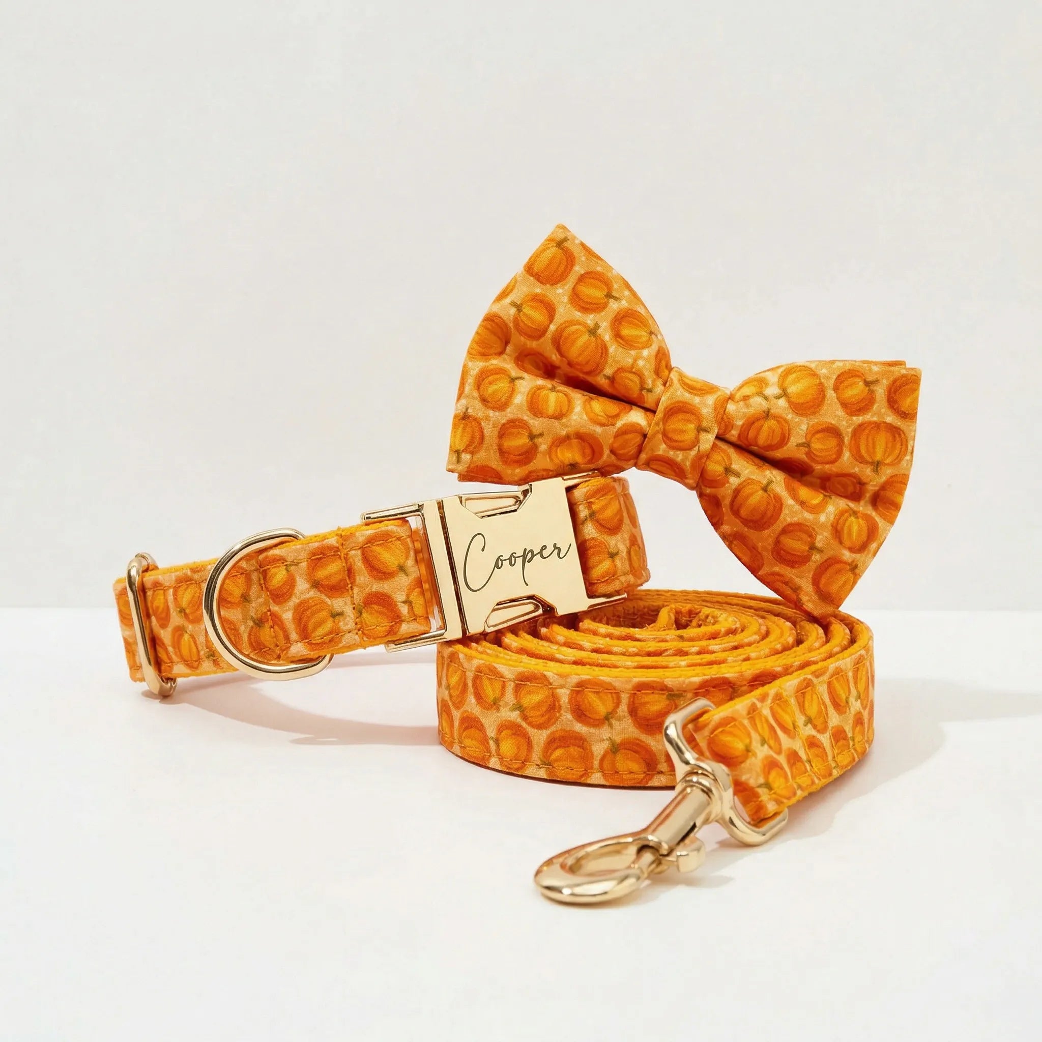 DDPaws Halloween Pumpkin Print Set