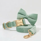 Mint Green Velvet Collar Leash Set