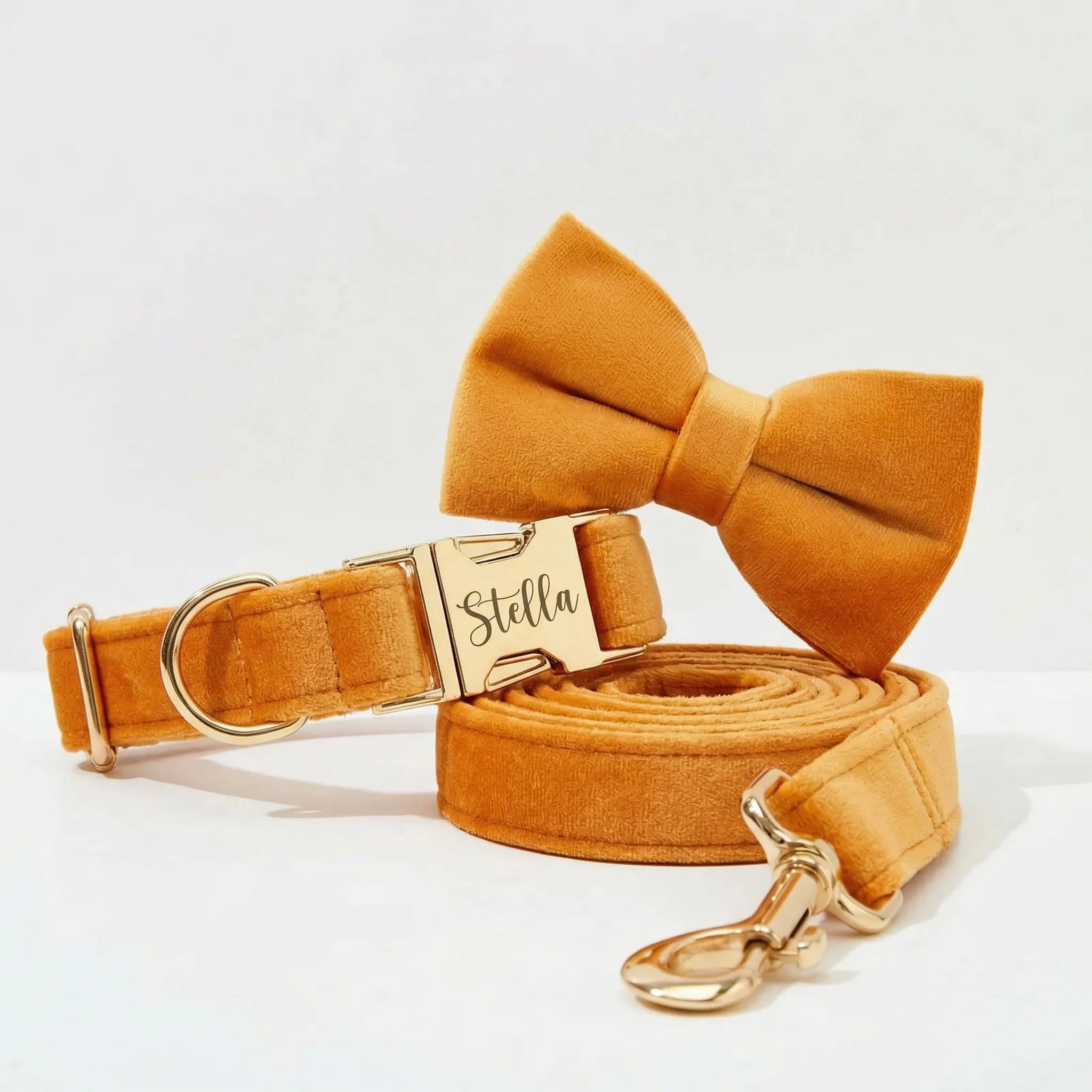 Orange Velvet Collar Leash Set