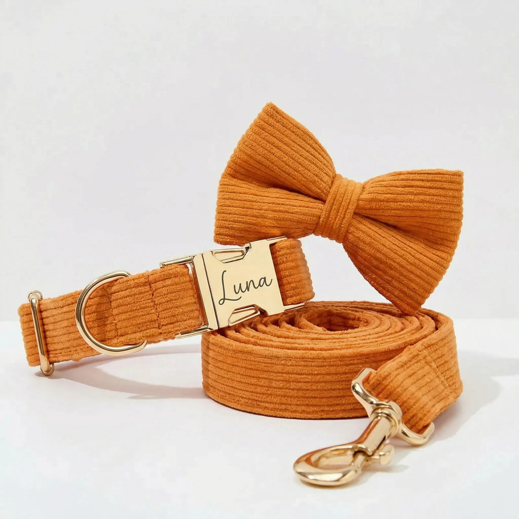 Orange Corduroy Collar Leash Set
