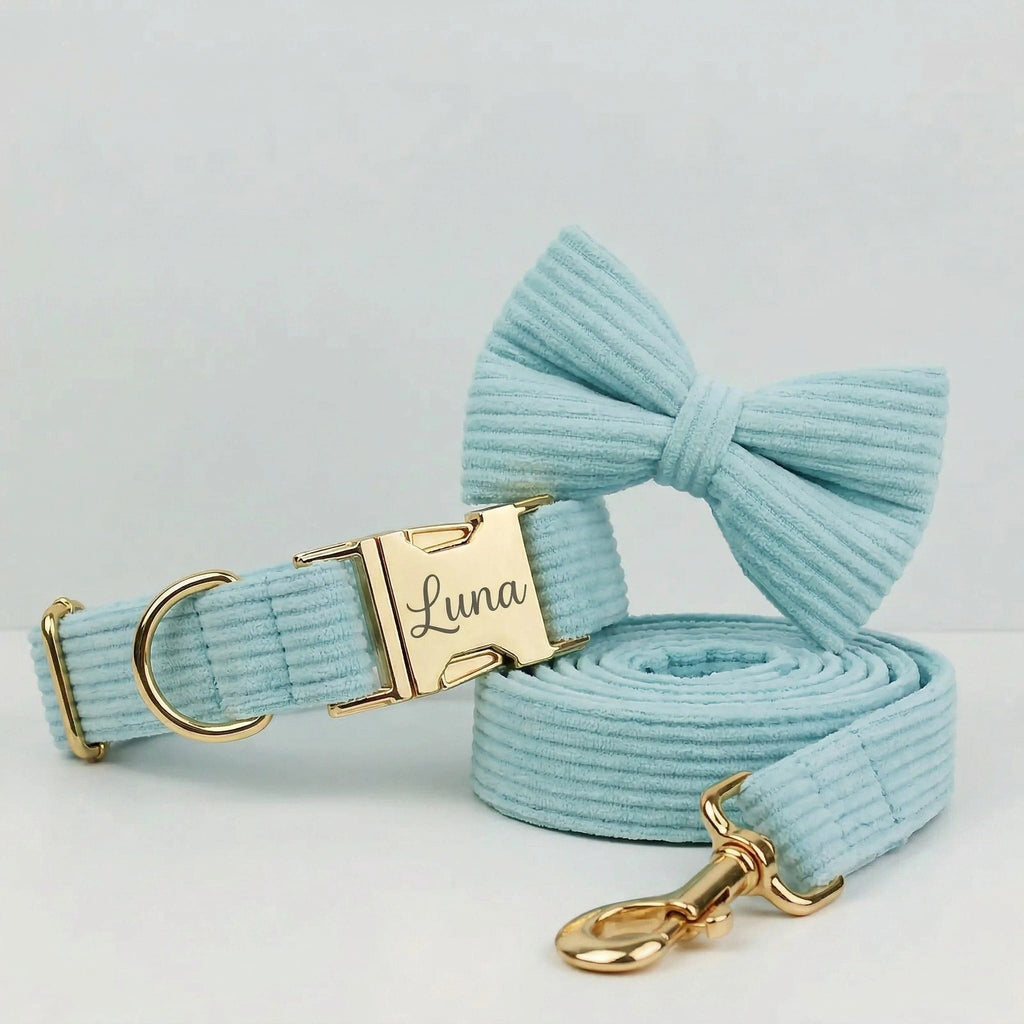 Lake Green Corduroy Collar Leash Set