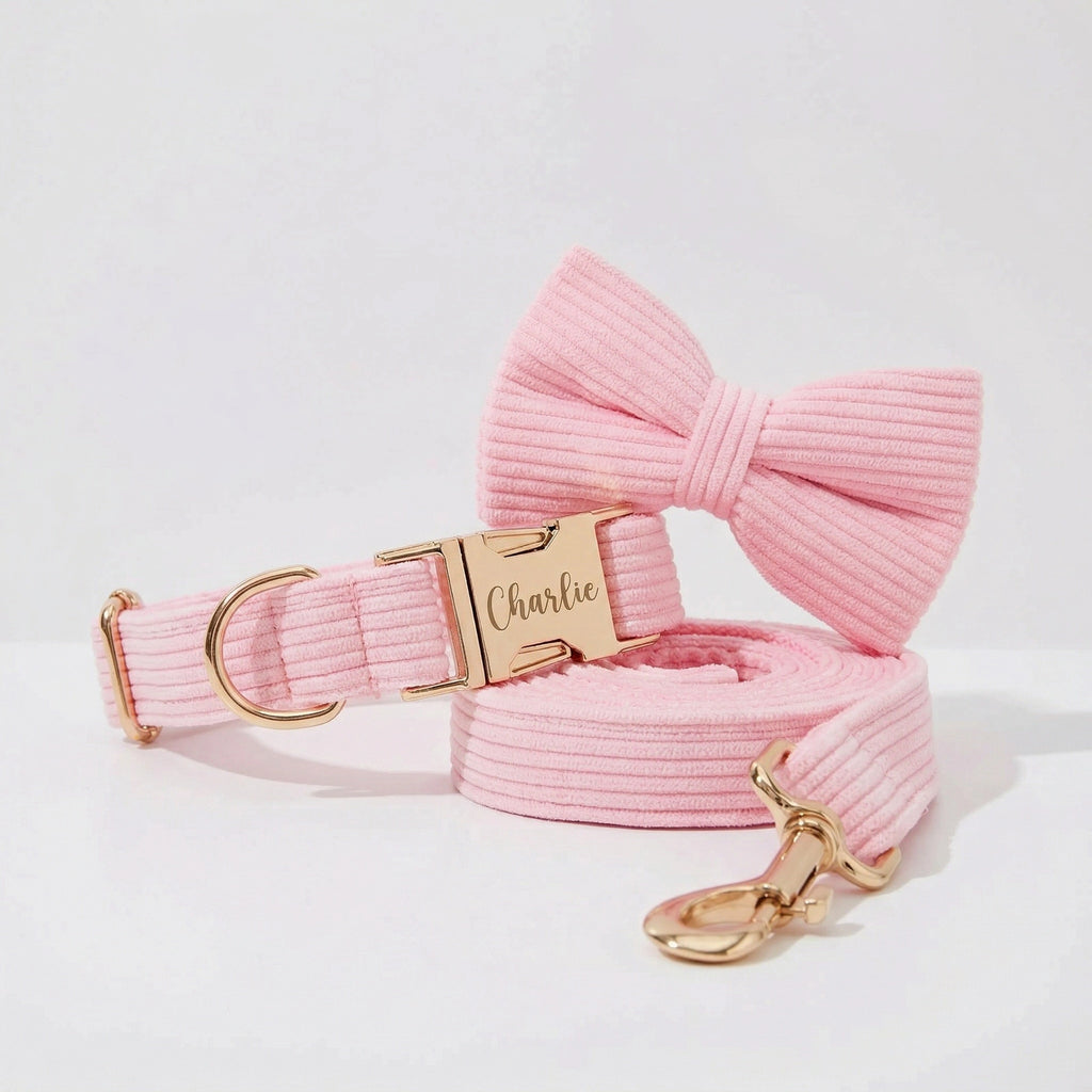 Pink Corduroy Collar Leash Set