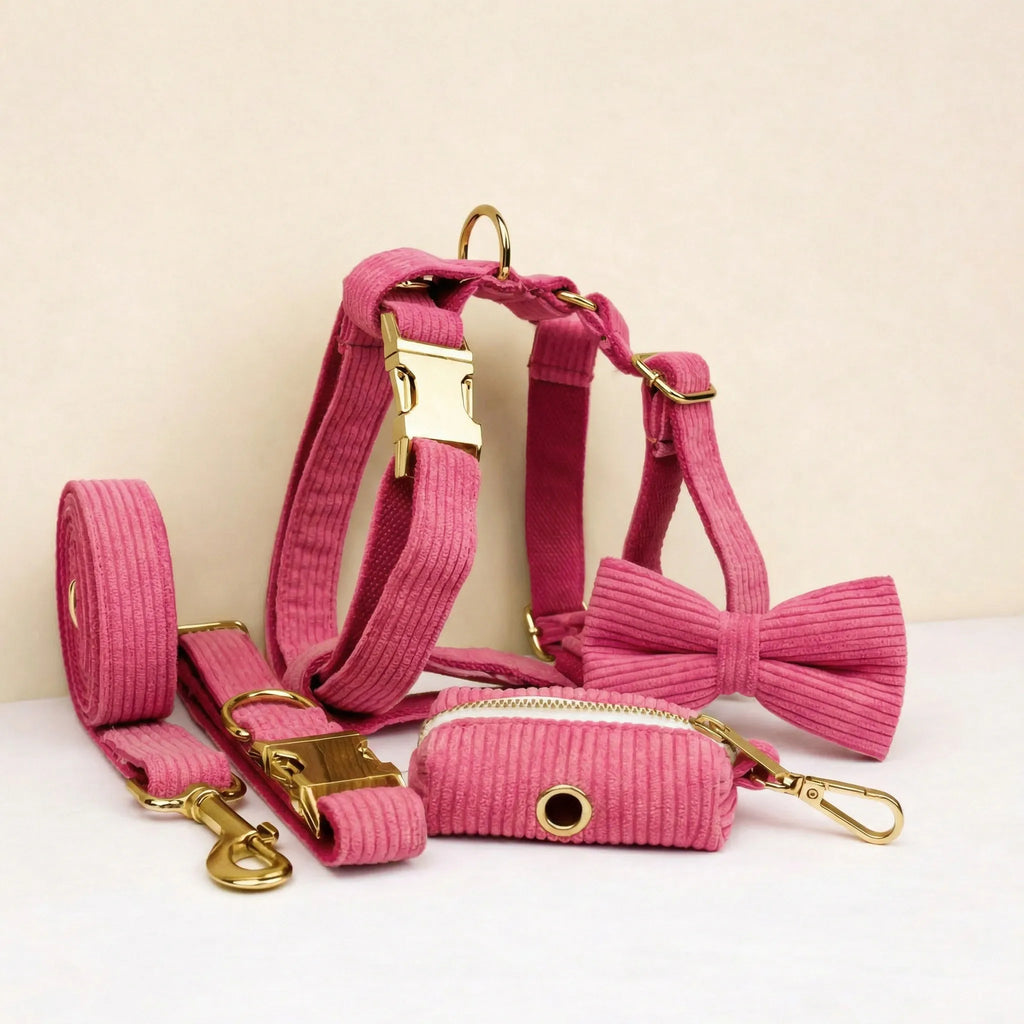 D&D Paws  Red Corduroy Set