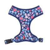Harness