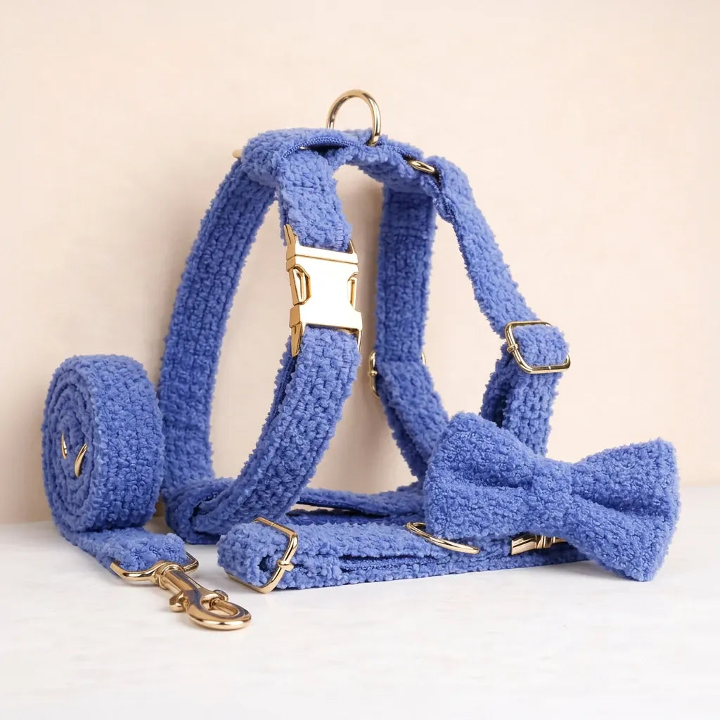 DDPaws  Blue Teddy Set