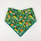 D&D Paws Bandana Designed Floral Dog Vest Set