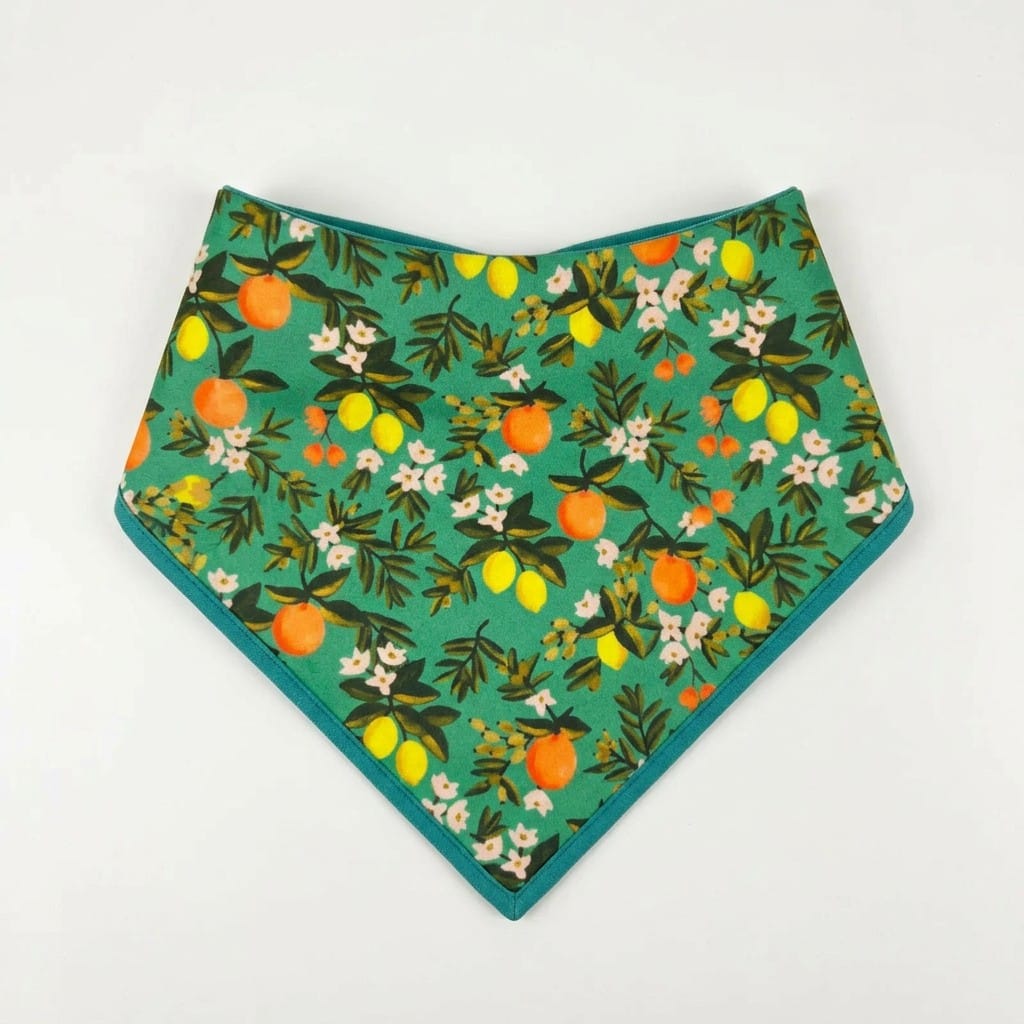 D&D Paws Bandana Designed Floral Dog Vest Set