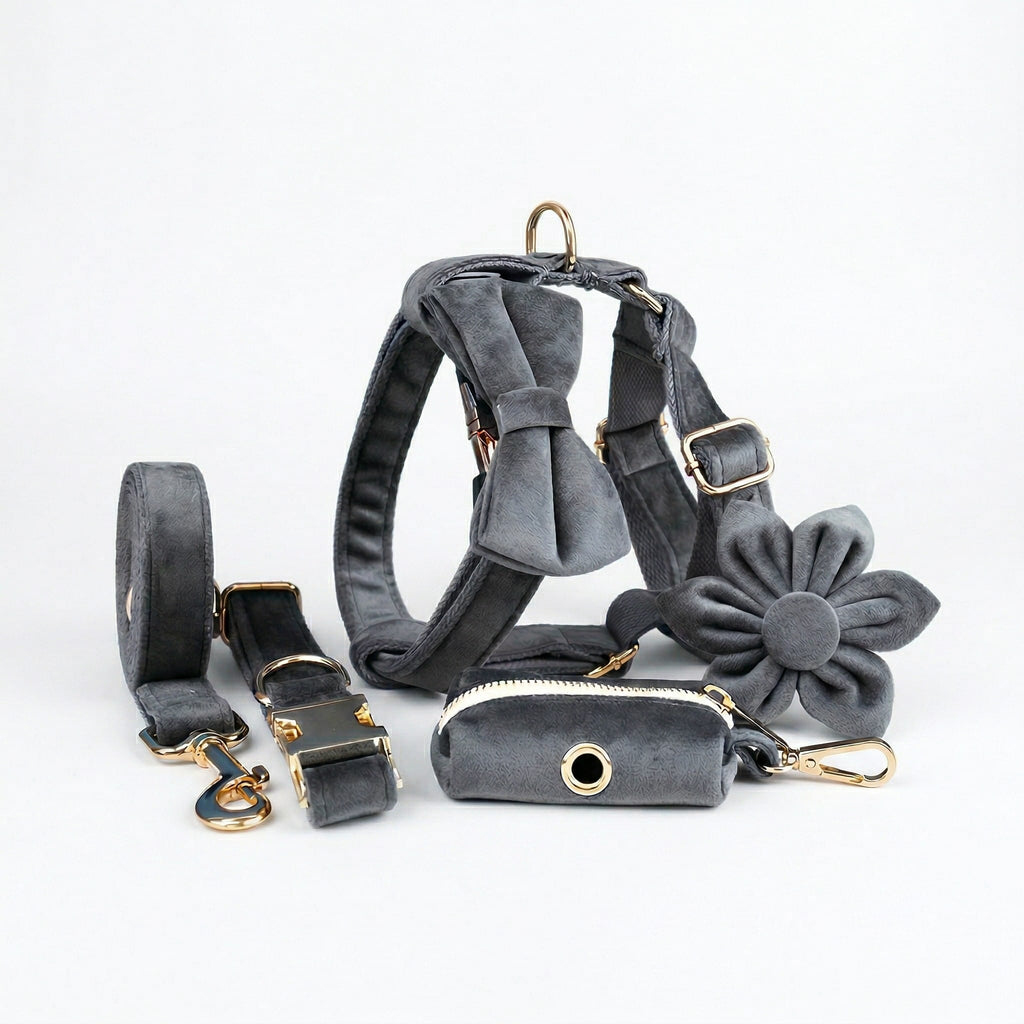 D&D Paws  Dark Grey Velvet Set
