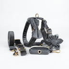 D&D Paws  Dark Grey Velvet Set
