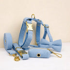 D&D Paws  Blue Corduroy Set