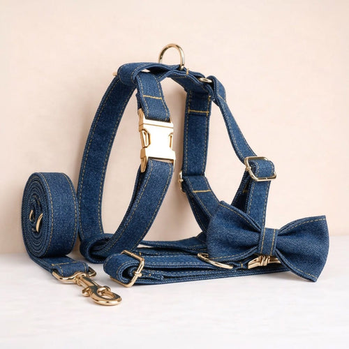 D&D Paws Blue Denim Set