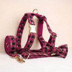 D&D Paws  Christmas Red Star Plaid Set
