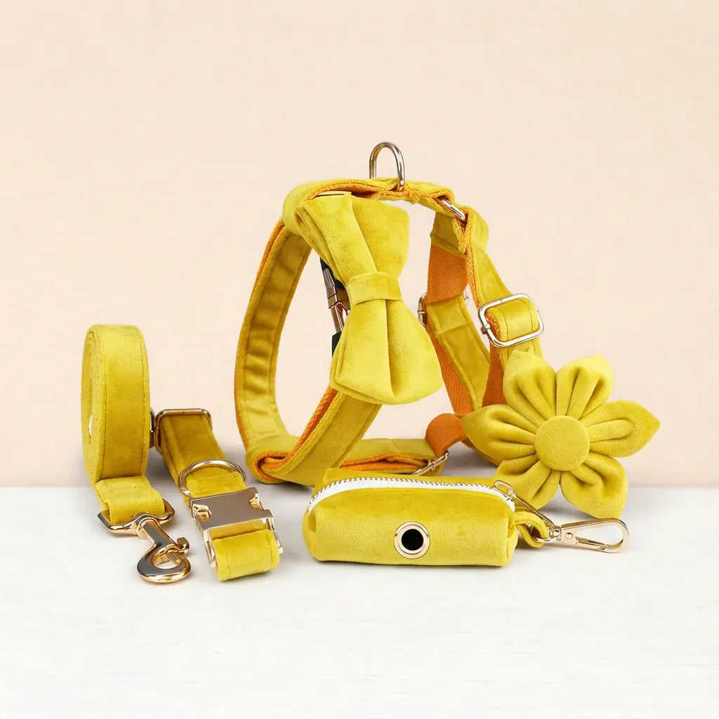 DDPaws  Yellow Velvet Set