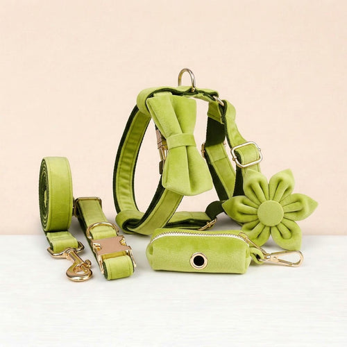 DDPaws  Avocado Velvet Set