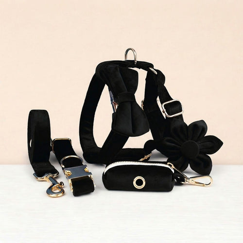 D&D Paws  Black Velvet Set