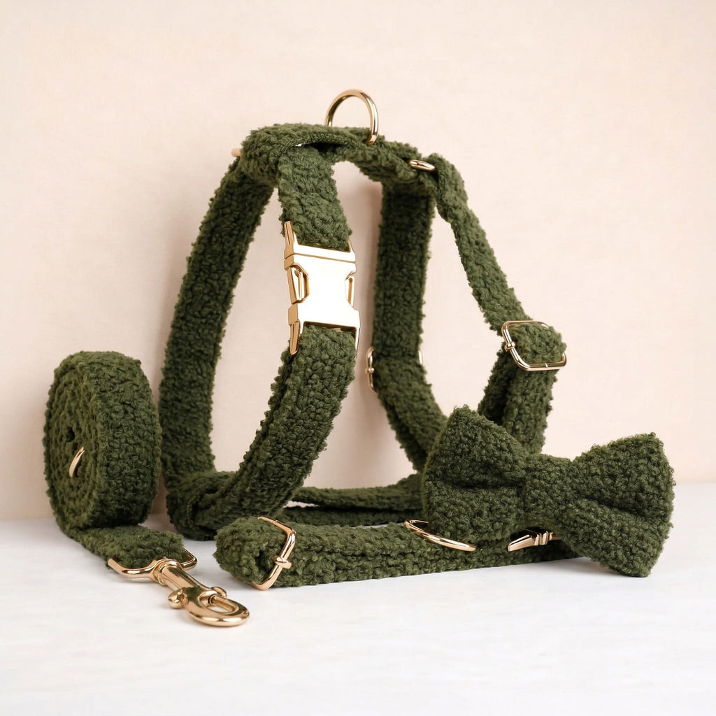 D&D Paws  Cozy Olive Teddy Set