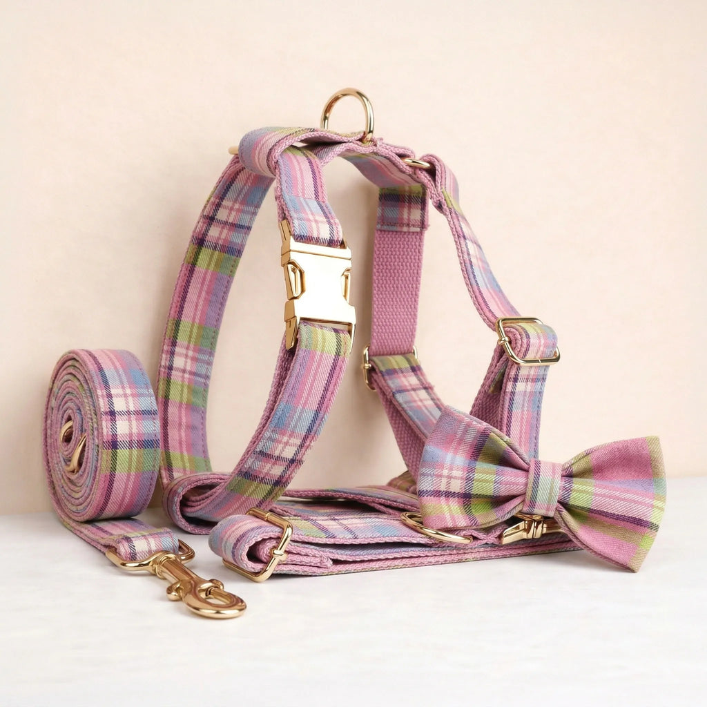 DDPaws  Plaid Pink Set
