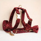 D&D Paws  Velvet Wine Star Set