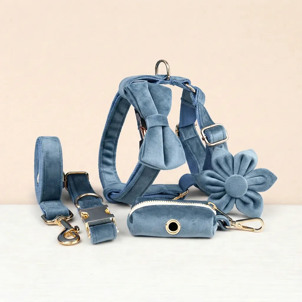 DDPaws  Dusty Blue Velvet Set