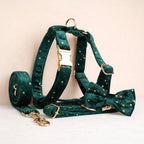 DDPaws  Green Star Velvet Set