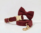 D&D Paws Dark Red Corduroy Set