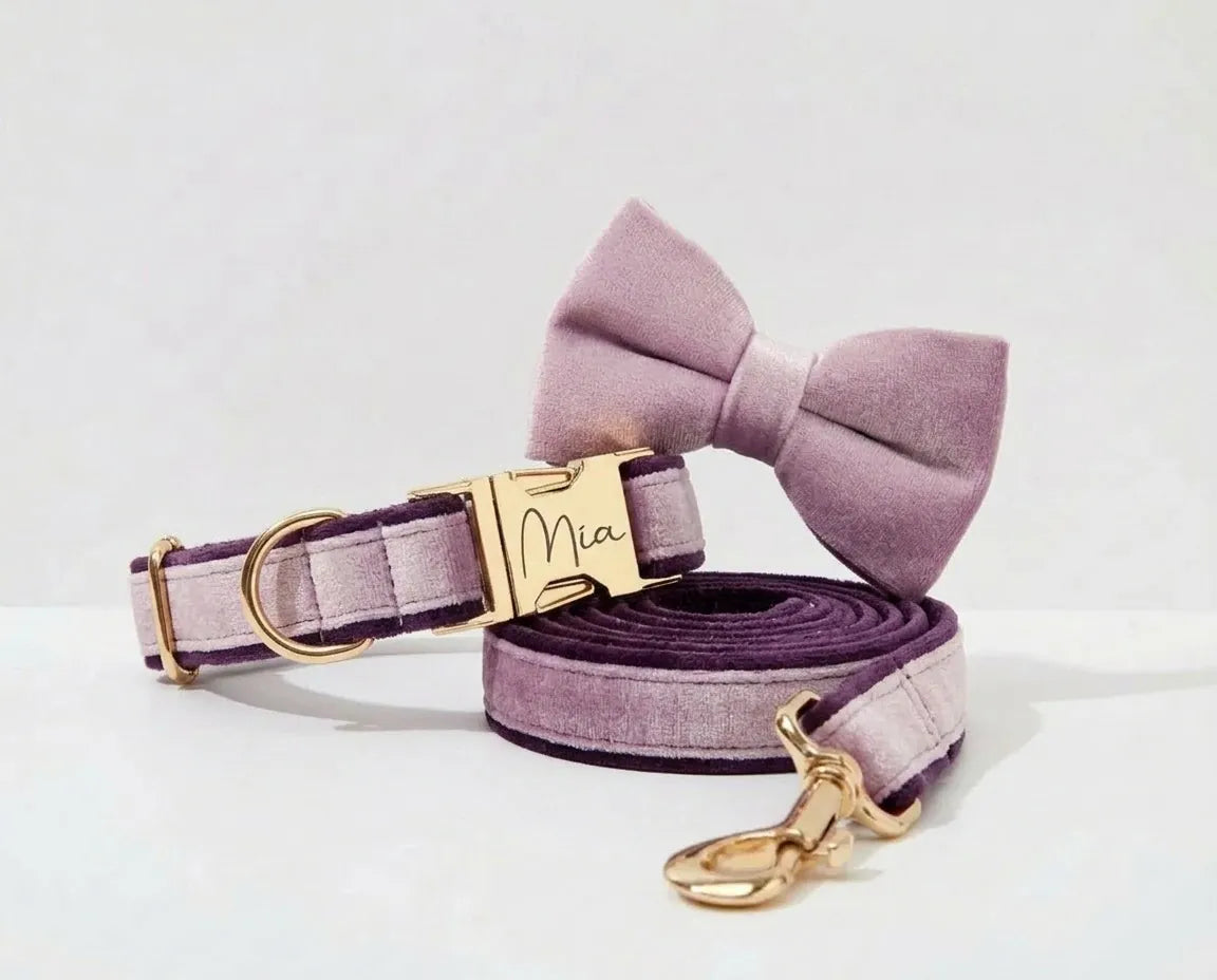 DDPaws Collar + Leash + Bowtie / XS Deep Purple Velvet Set