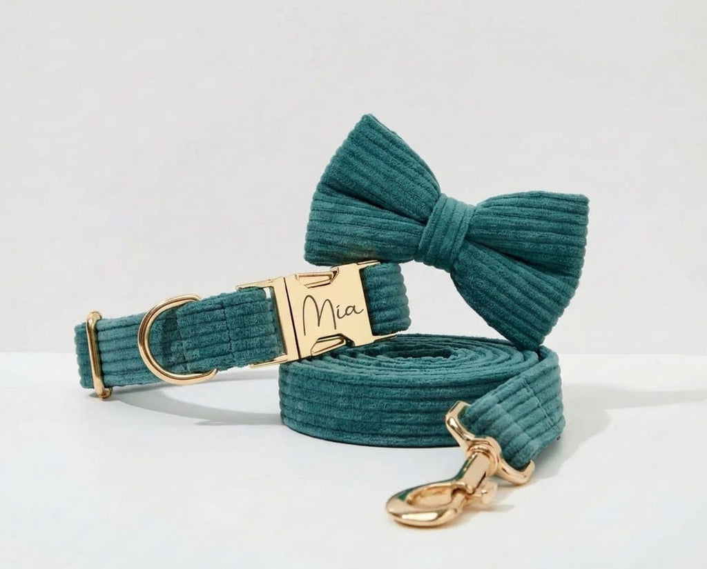 D&D Paws Collar + Leash + Bowtie / XS Dark Green Corduroy Set